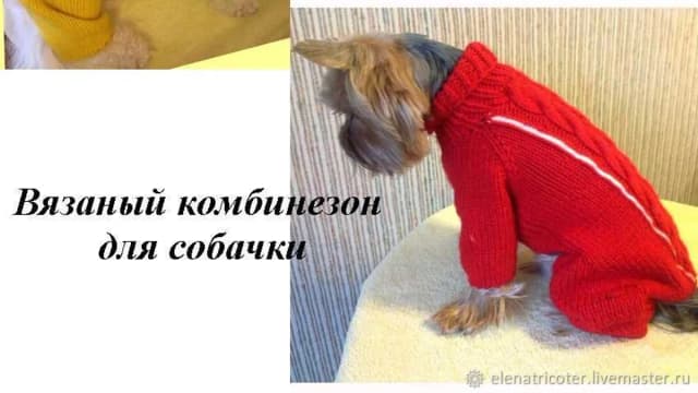 Обложка курса: Описание вязаного комбинезона для собачки (Елена Белякова). Площадка: Складчина.biz