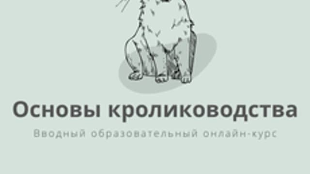 Обложка курса «Основы кролиководства» на Stepik