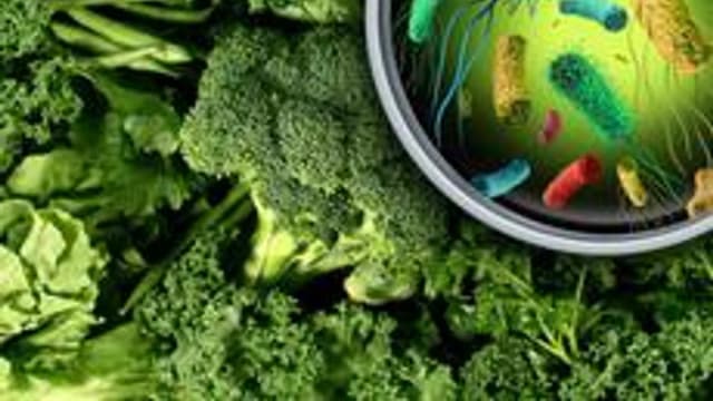 Обложка курса «Основы микробиологии» на Stepik