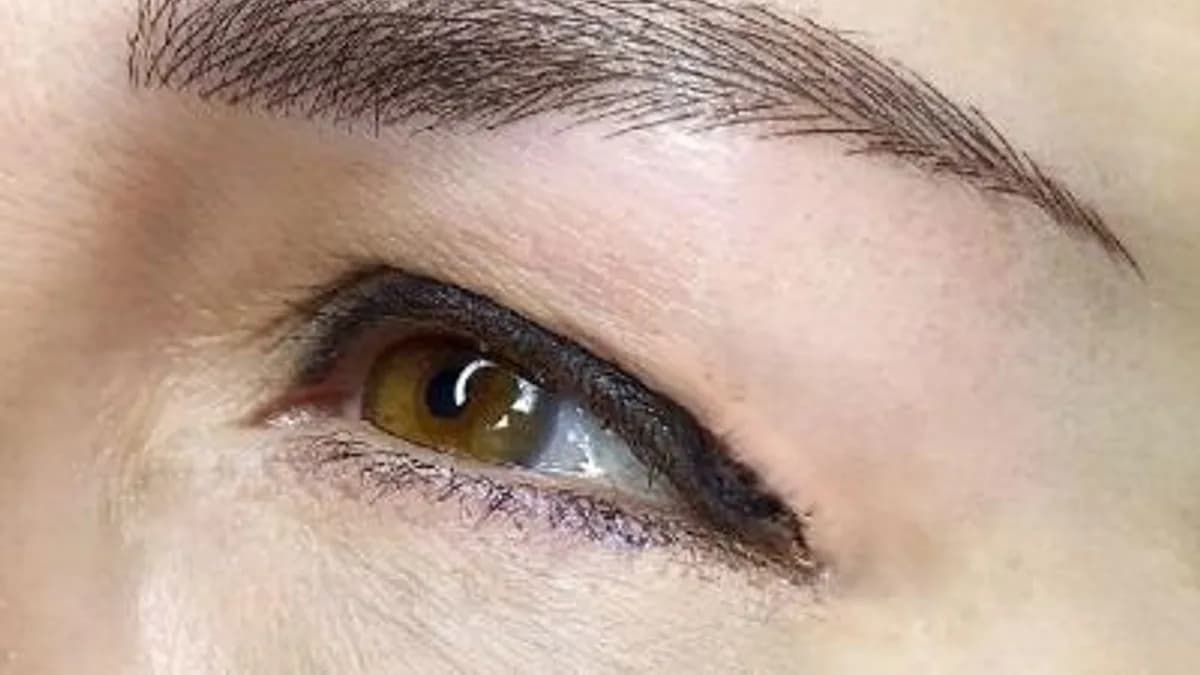 Обложка курса: Перманентный макияж бровей Ideal Hair (Дарья Никулина). Площадка: Складчина.biz