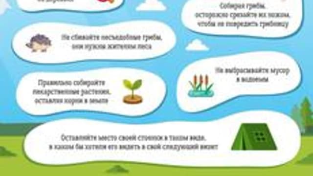 Обложка курса «Природа и наша безопасность Экологическая безопасность» на Stepik