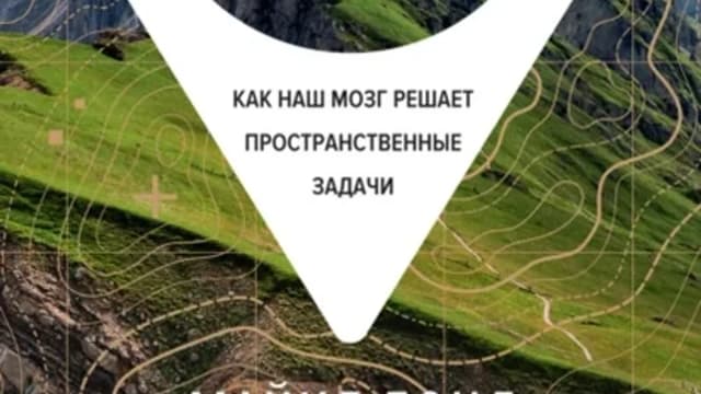 Обложка курса: Путеводный нейрон. Как наш мозг решает пространственные задачи (Майкл Бонд). Площадка: Складчина.biz