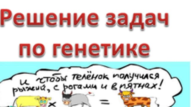 Обложка курса «Решаем задачи по генетике» на Stepik