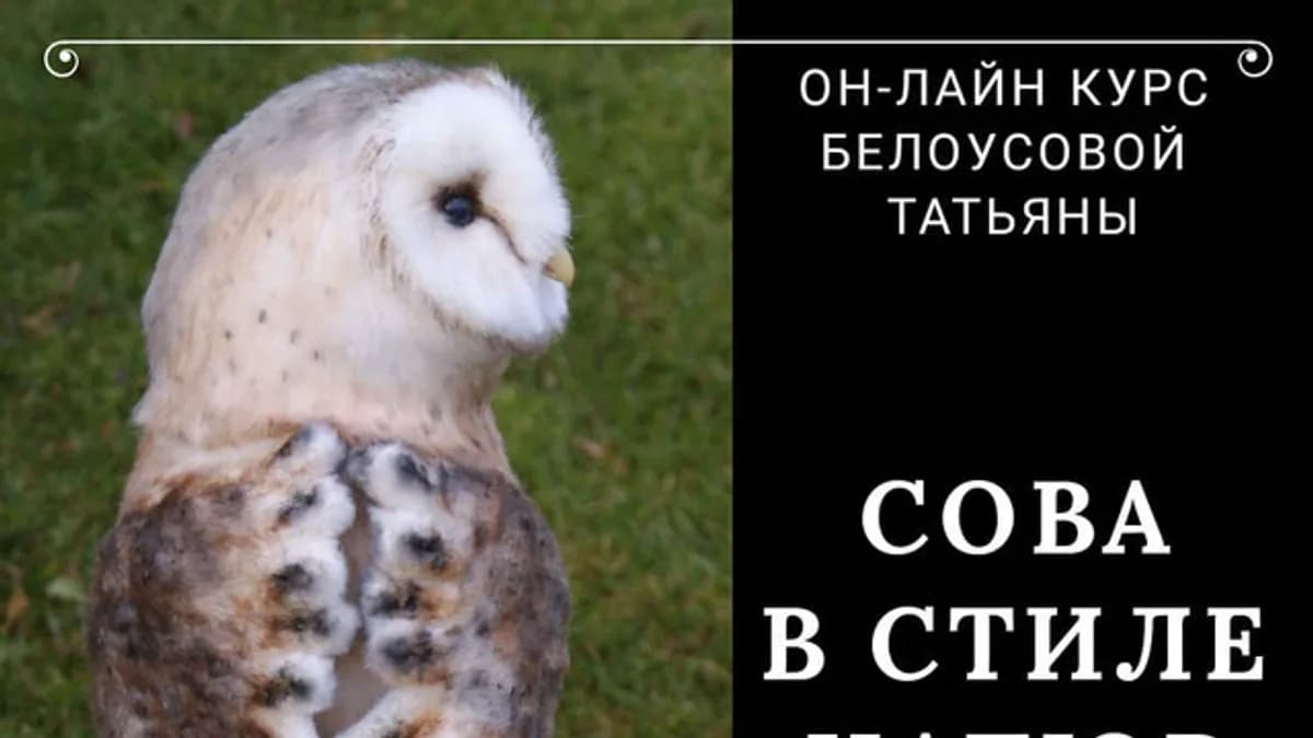 Обложка курса: Сова в стиле натюр (Татьяна Белоусова). Площадка: Складчина.biz