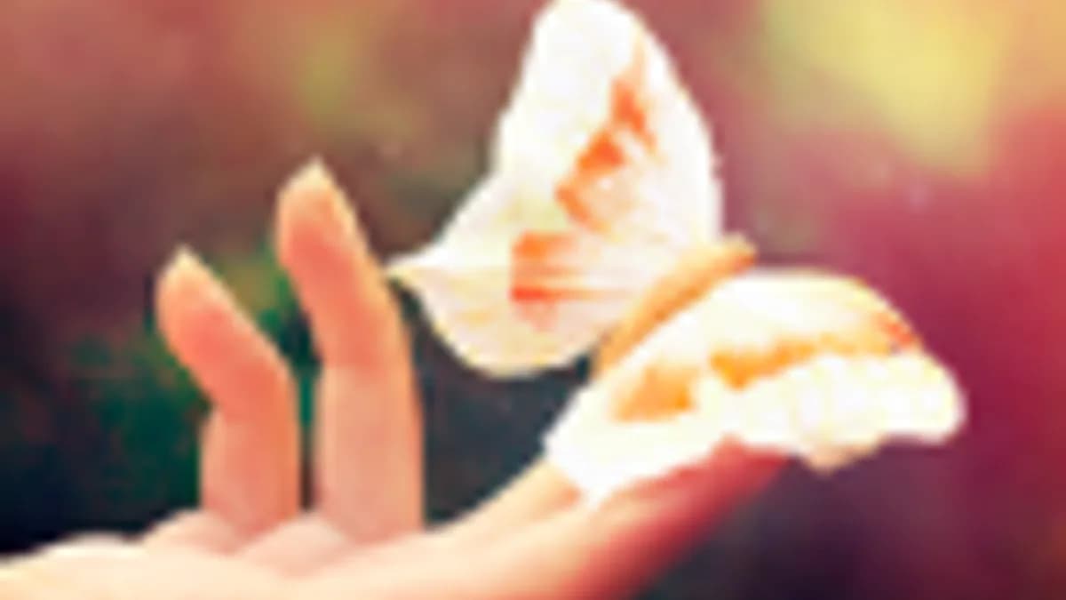 Обложка курса: Стоматология 3. Площадка: Складчик