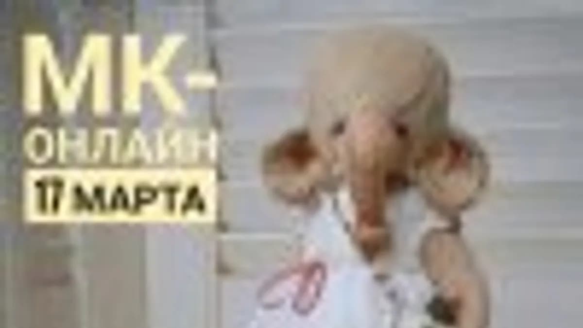 Обложка курса: Тедди Слонечка. Площадка: Складчик