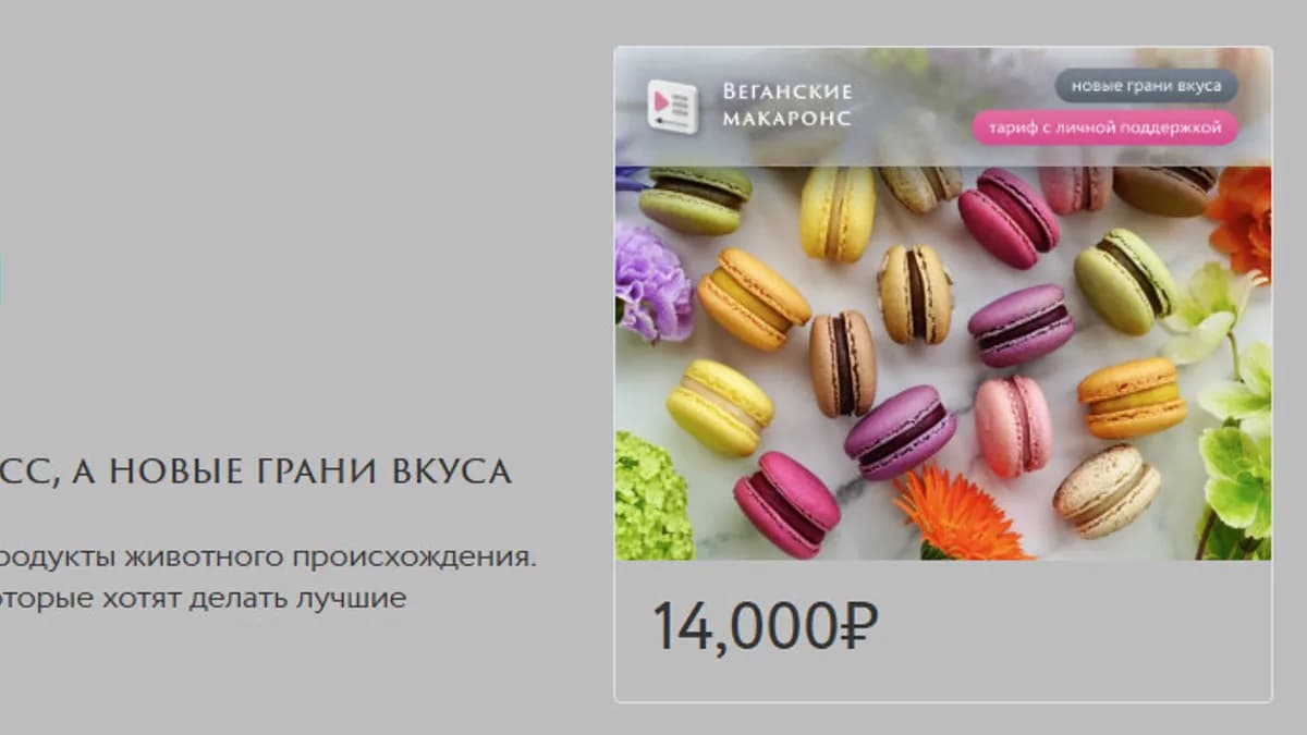 Обложка курса: Веганские макаронс (Анна Томильчик). Площадка: Складчина.biz