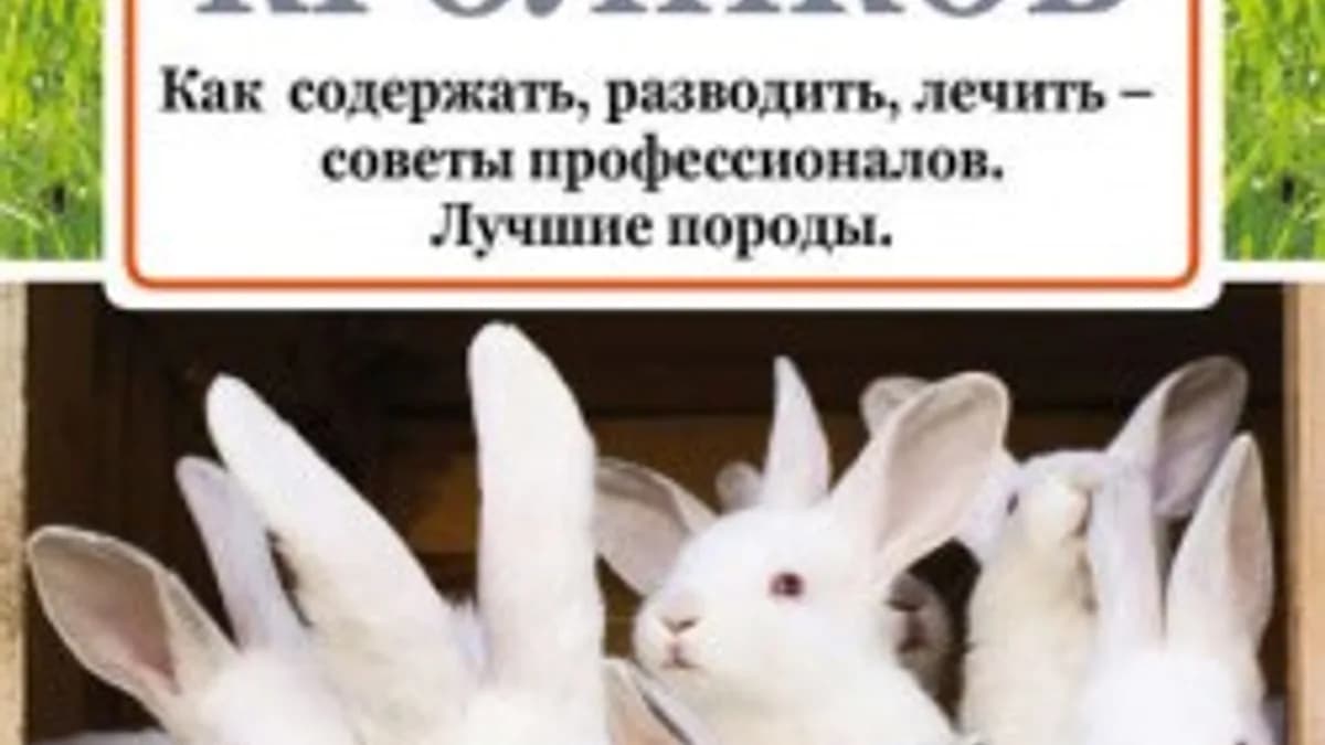 Обложка курса: Выращивание кроликов. Как содержать, разводить, лечить – советы профессионалов (Андрей Лапин). Площадка: Складчина.biz
