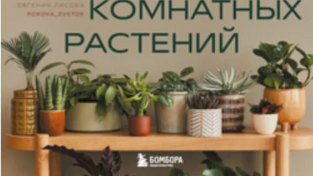 Обложка курса: Заклинатель комнатных растений. Секретные лайфхаки от профессионального цветовода (Евгения Лисова). Площадка: Складчина.biz