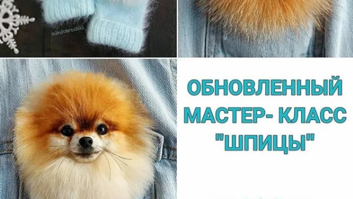 Обложка курса: Звероварежки. Шпицы Обновленный (Марина Грубер). Площадка: Складчина.biz