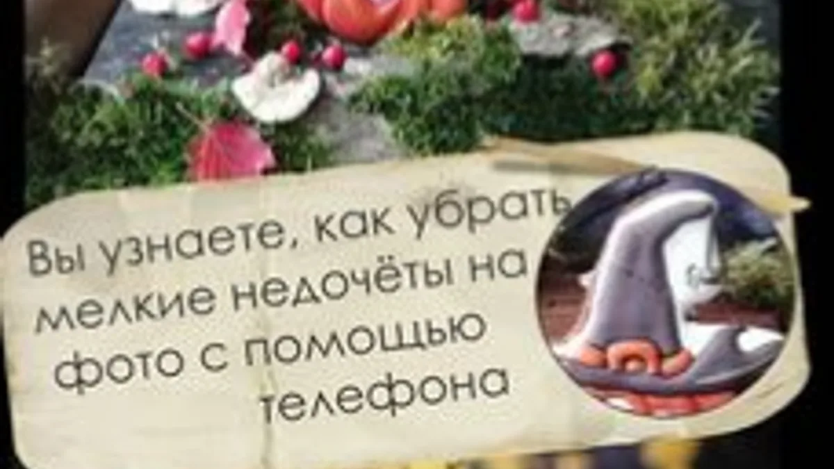 Обложка курса: Фудфото (Анна Калиничева). Площадка: Складчина.biz
