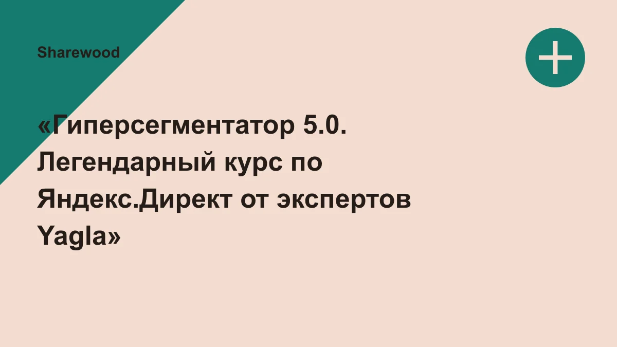 Обложка курса: «Гиперсегментатор 5.0. Легендарный курс по Яндекс.Директ от экспертов Yagla» [Александр Алимов,Александр Машкарев, Никита Глинин]. Площадка: Sharewood