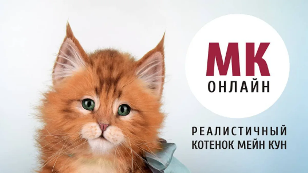 Обложка курса: [Куклы] Реалистичный котенок Мейн кун [Анастасия Масловская]. Площадка: Складчик